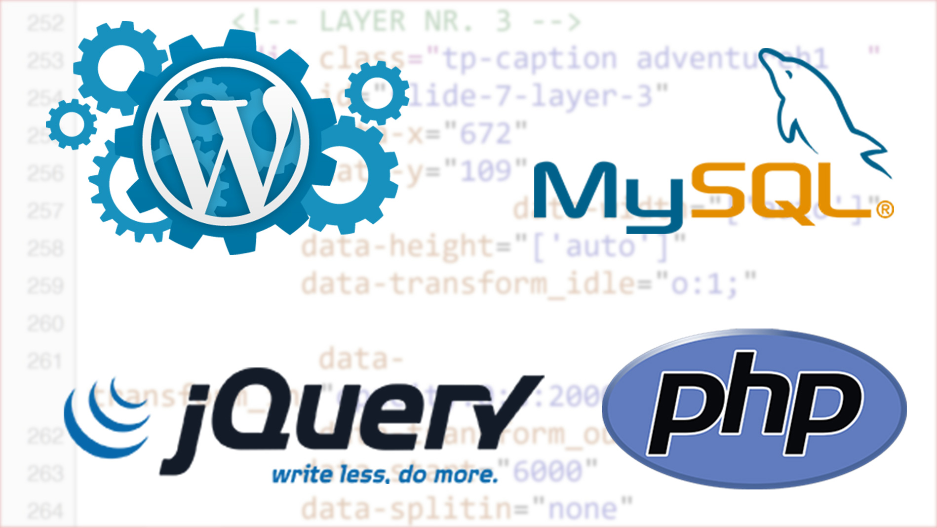 web development